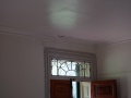 DSC00184