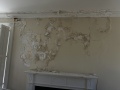 DSC00719